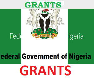 How to apply and win grant funding in Nigeria – By Jeremiah Kaiye